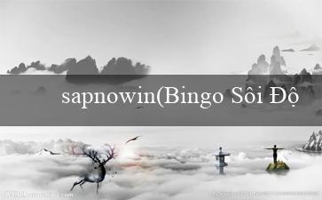 sapnowin(Bingo Sôi Động)