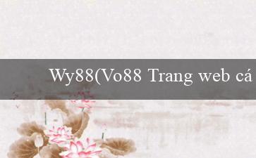 Wy88(Vo88 Trang web cá cược trực tuyến hàng đầu)