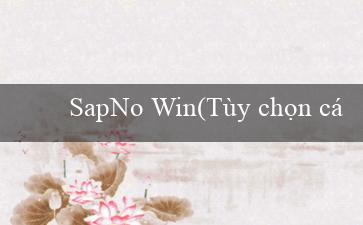 SapNo Win(Tùy chọn cá cược trực tuyến trong Việt Nam Vo88)