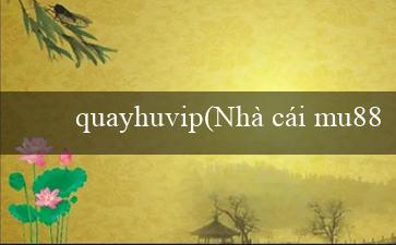 quayhuvip(Nhà cái mu88 chuyển sang môi trường tiếng Việt)